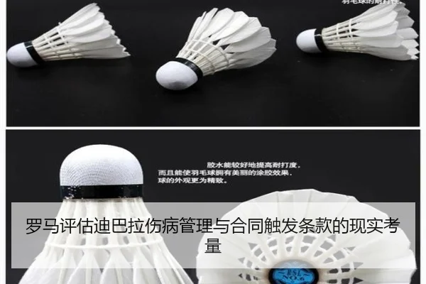 luo-ma-ping-gu-di-ba-la-shang-bing-guan-li-yu-he-tong-chu-fa-tiao-kuan-de-xian-shi-kao-liang-3-217.jpg