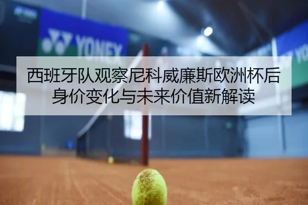 西班牙队观察尼科威廉斯欧洲杯后身价变化与未来价值新解读